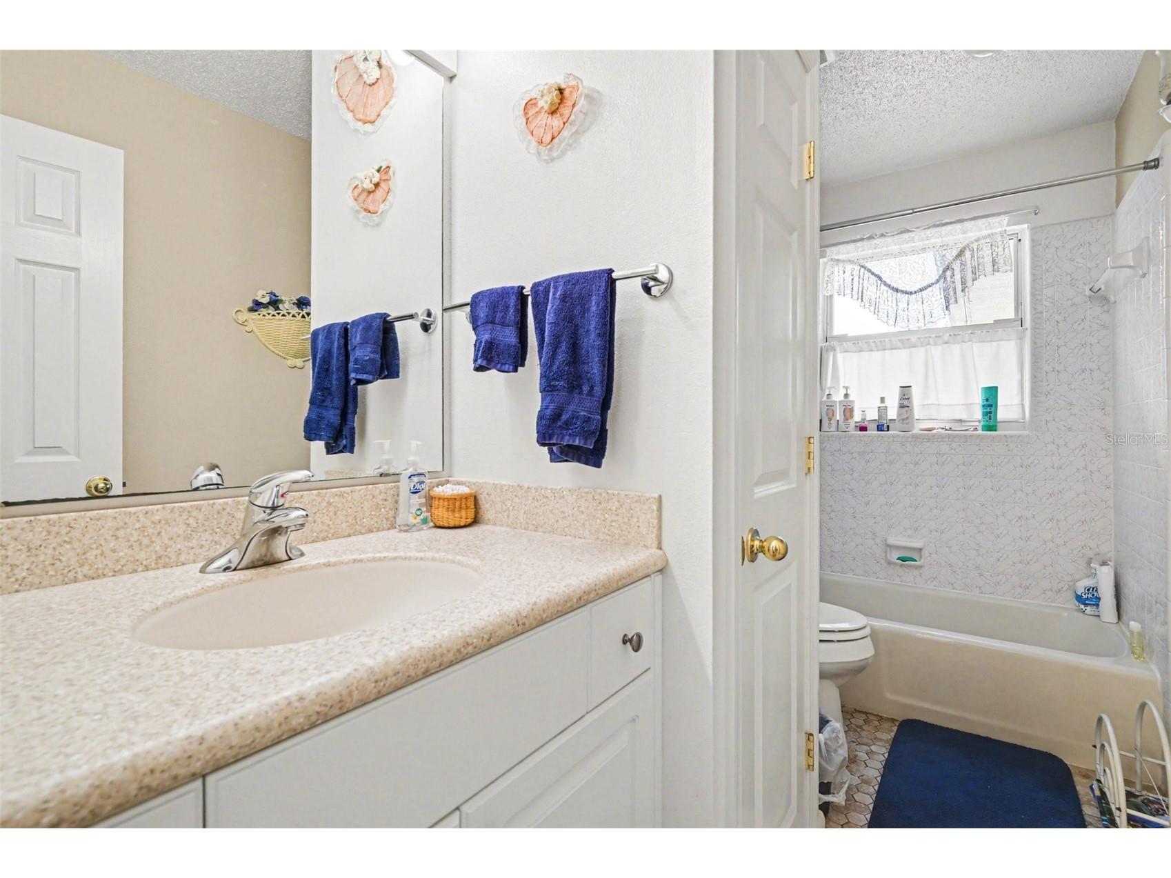 527 Land O Lakes Court Deland FL 32724 TB8495861 image24