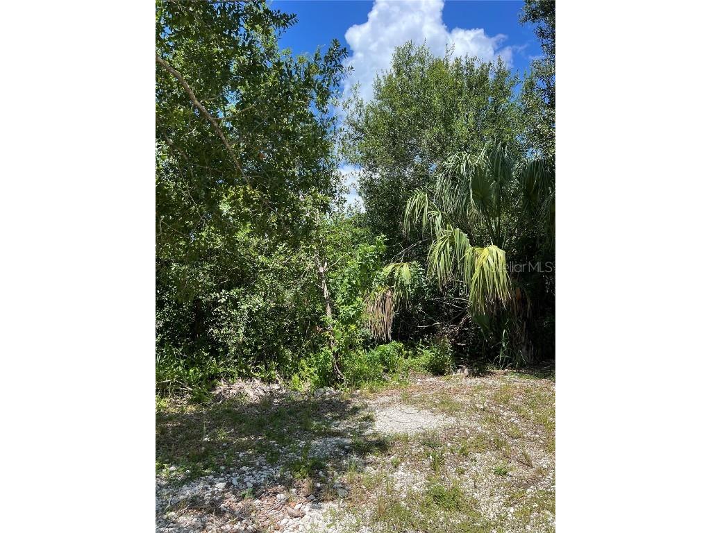 527 Orange Brook Lane Punta Gorda FL 33982 O6122240 image3