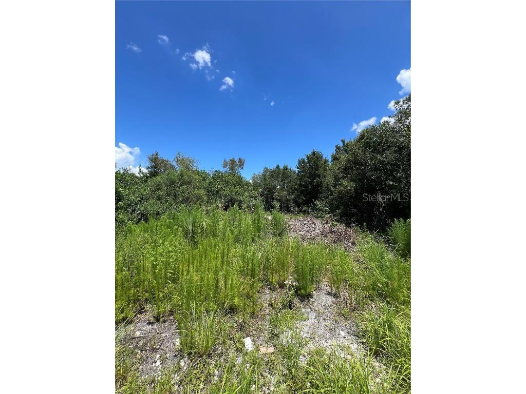 527 Orange Brook Lane Punta Gorda FL 33982 O6122240 image6