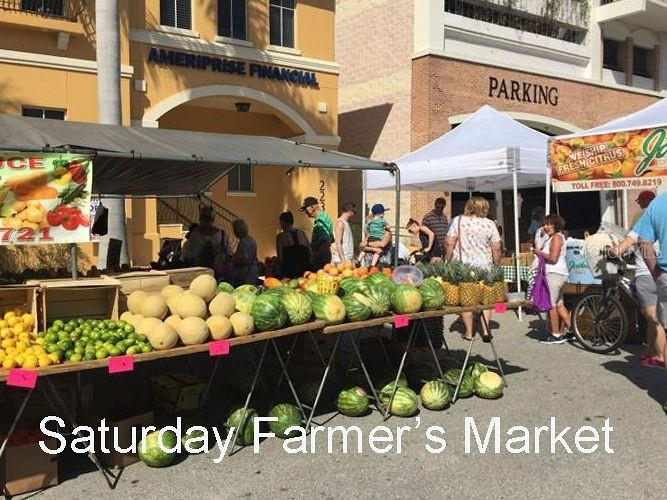 527 Palm Avenue Punta Gorda FL 33950 C7514053 image9