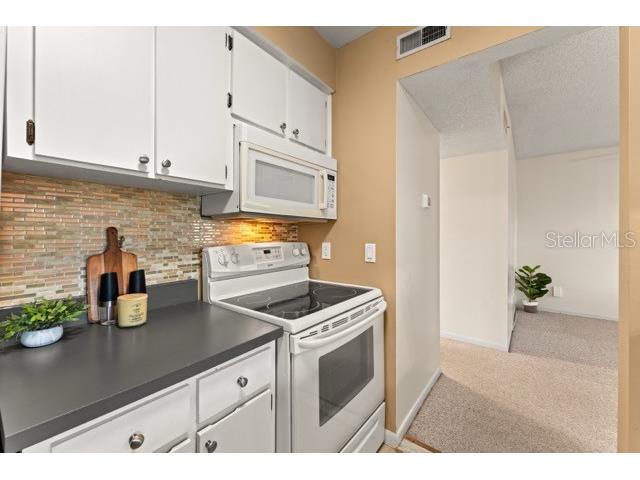527 S Lincoln Avenue #A208 Tampa FL 33609 TB8516537 image10
