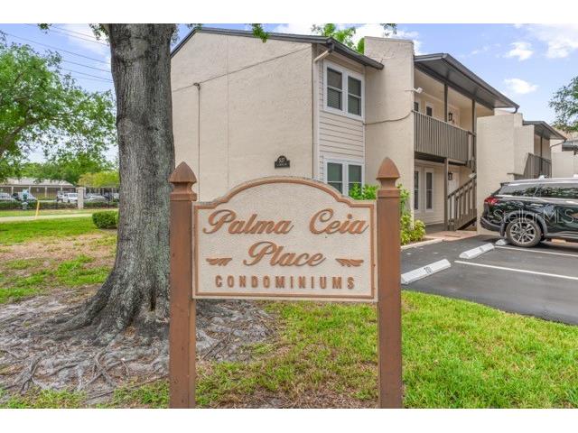527 S Lincoln Avenue #A208 Tampa FL 33609 TB8516537 image2