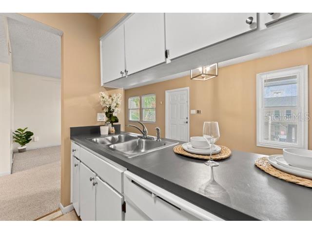 527 S Lincoln Avenue #A208 Tampa FL 33609 TB8516537 image7
