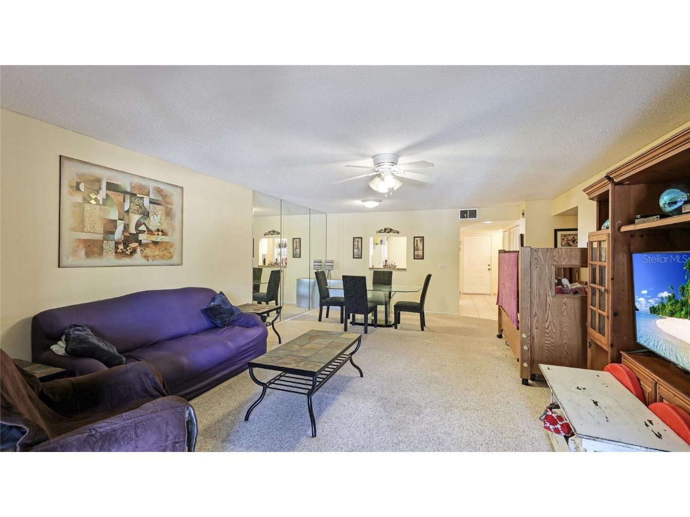 527 Spring Lakes Boulevard Bradenton FL 34210 A4633585 image10