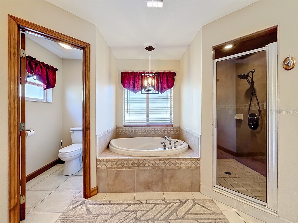 527 Sunnyside Drive Leesburg FL 34748 O6347002 image35