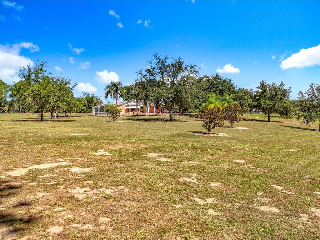 527 Sunnyside Drive Leesburg FL 34748 O6347002 image86