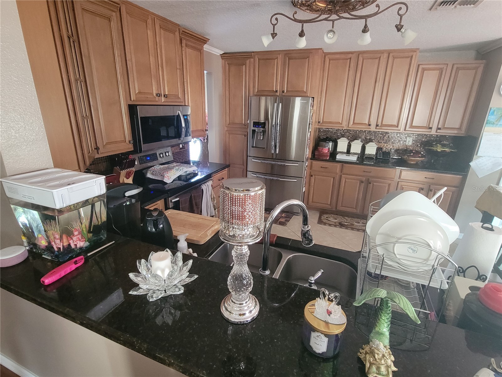 527 Windrose Drive Orlando FL 32824 O6387224 image11