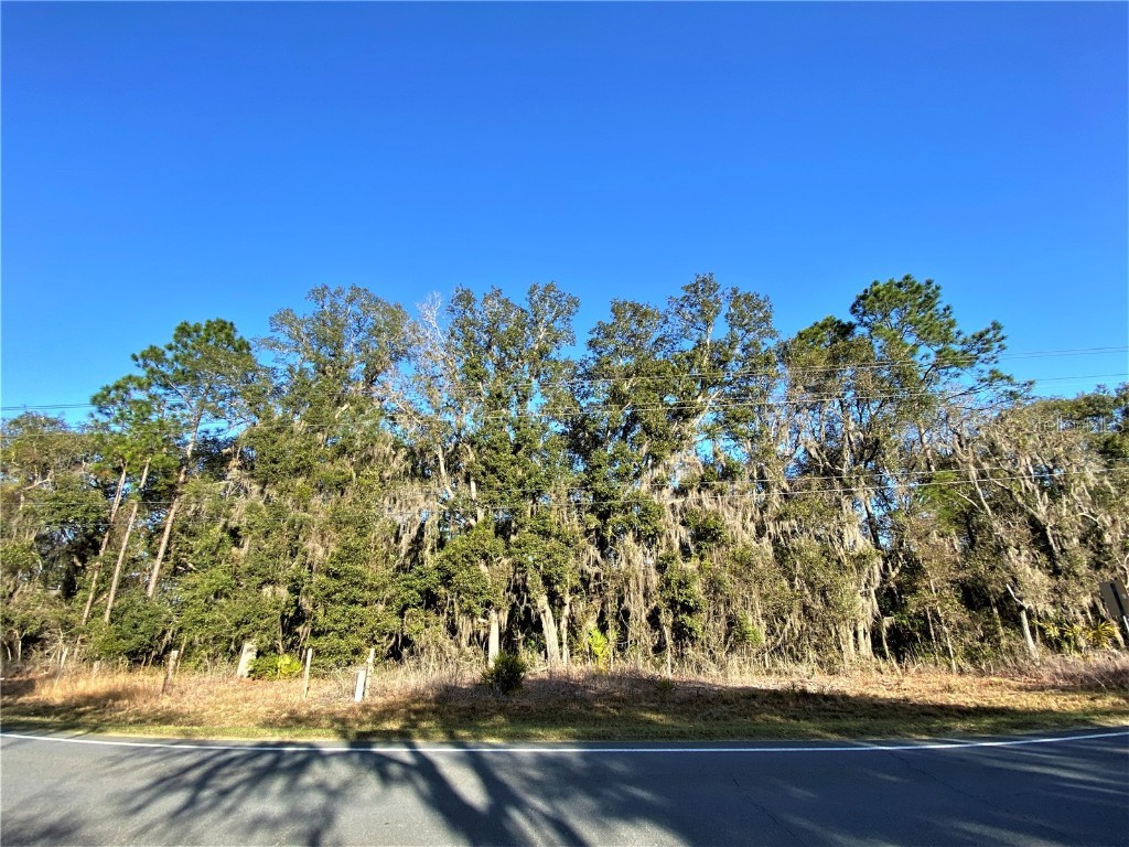 5270 County Road 214 Keystone Heights FL 32656 GC510951 image1