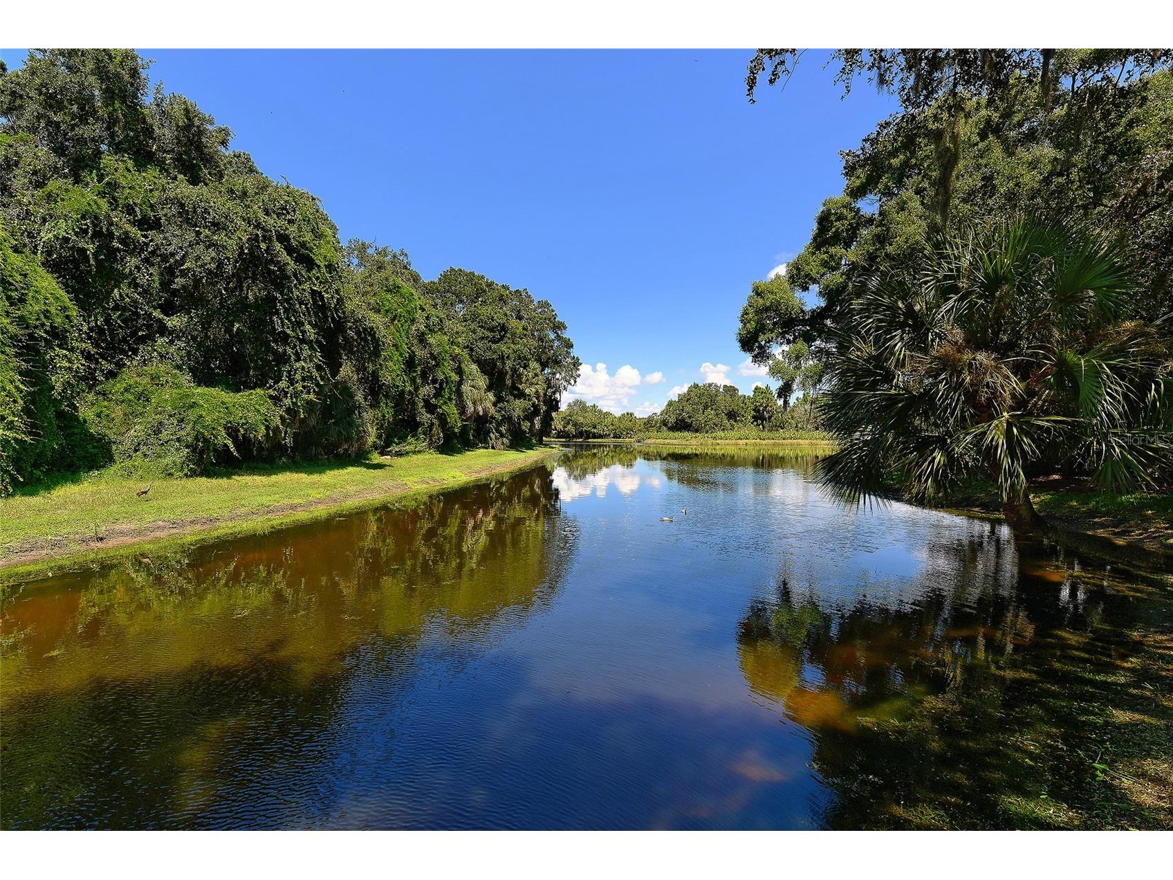 5270 Far Oak Circle Sarasota FL 34238 A4691759 image61