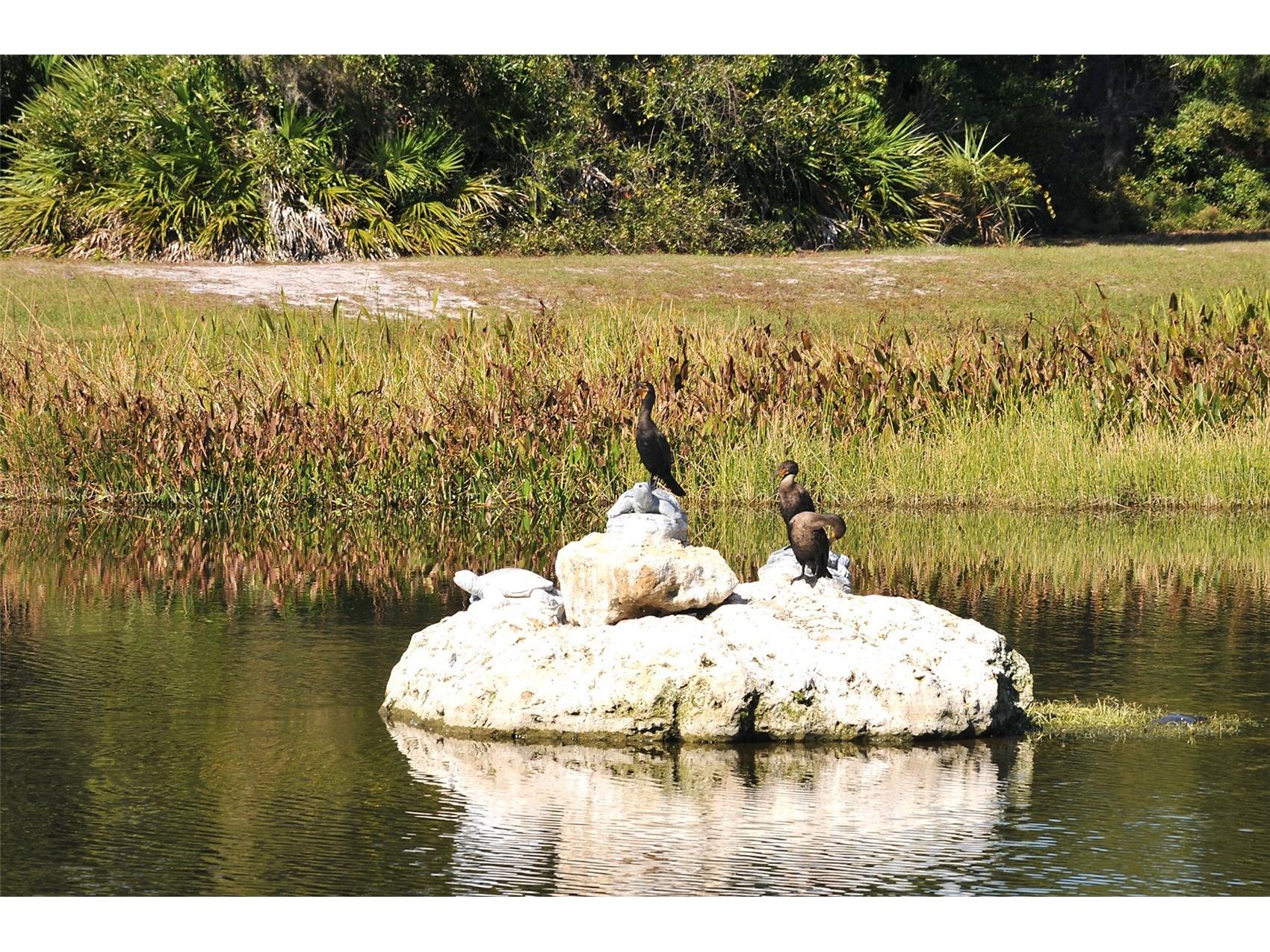 5270 Far Oak Circle Sarasota FL 34238 A4691759 image62