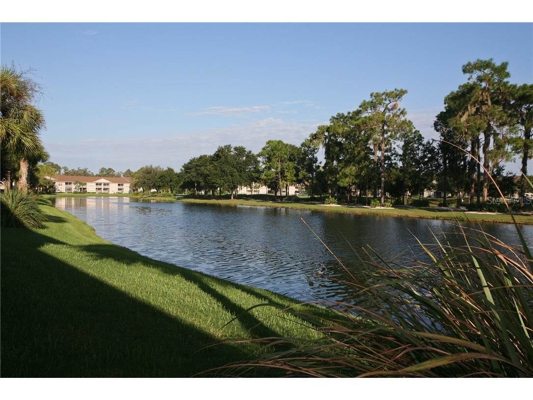 5270 Hyland Hills Avenue #1722 Sarasota FL 34241 A4474473 image28