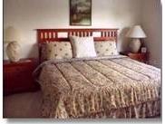 5270 Hyland Hills Avenue #1722 Sarasota FL 34241 A4475334 image6