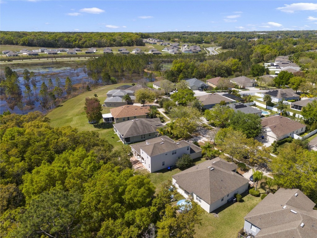 5270 Rishley Run Way Mount Dora FL 32757 O6363844 image42