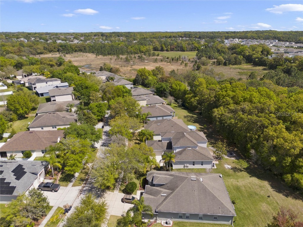 5270 Rishley Run Way Mount Dora FL 32757 O6363844 image46