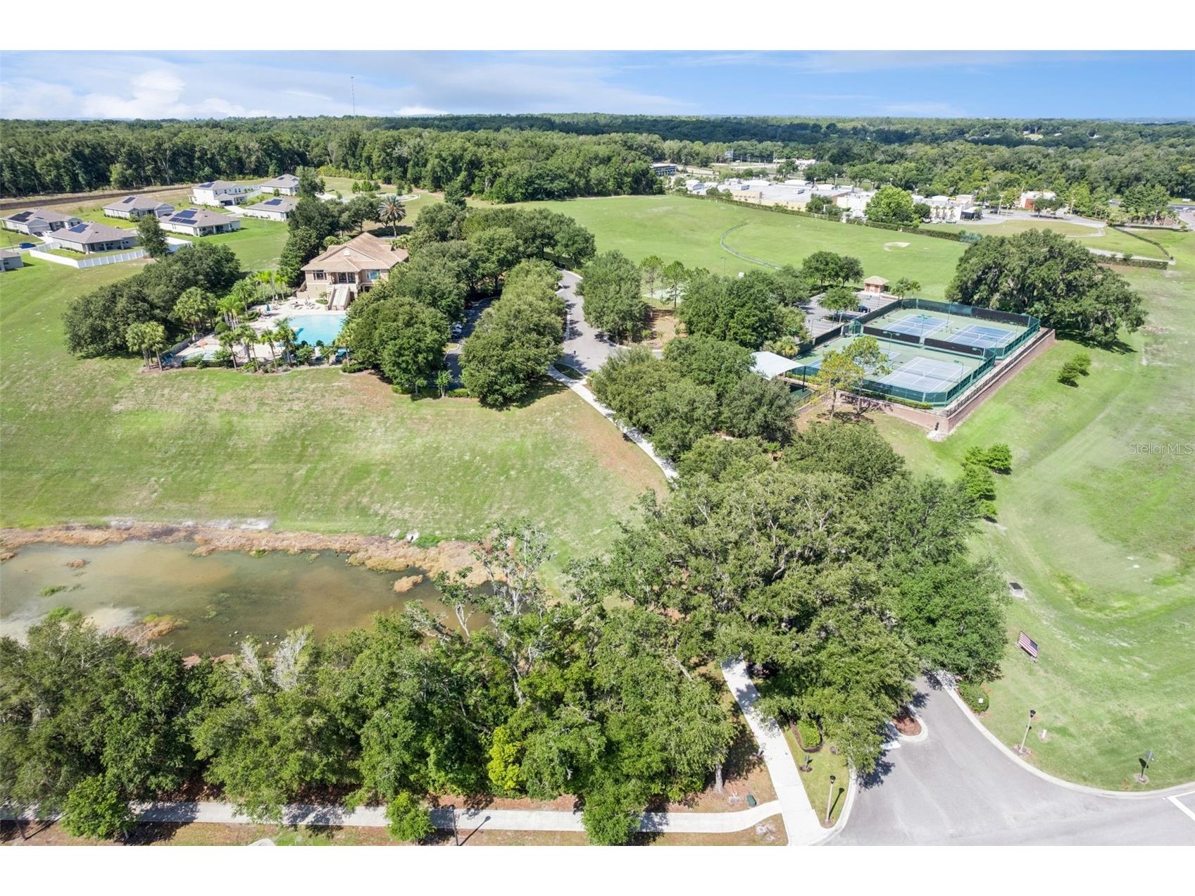 5270 Rishley Run Way Mount Dora FL 32757 O6363844 image48