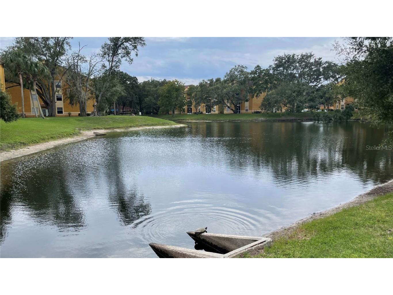 5271 Images Circle #102 Kissimmee FL 34746 O6143726 image1