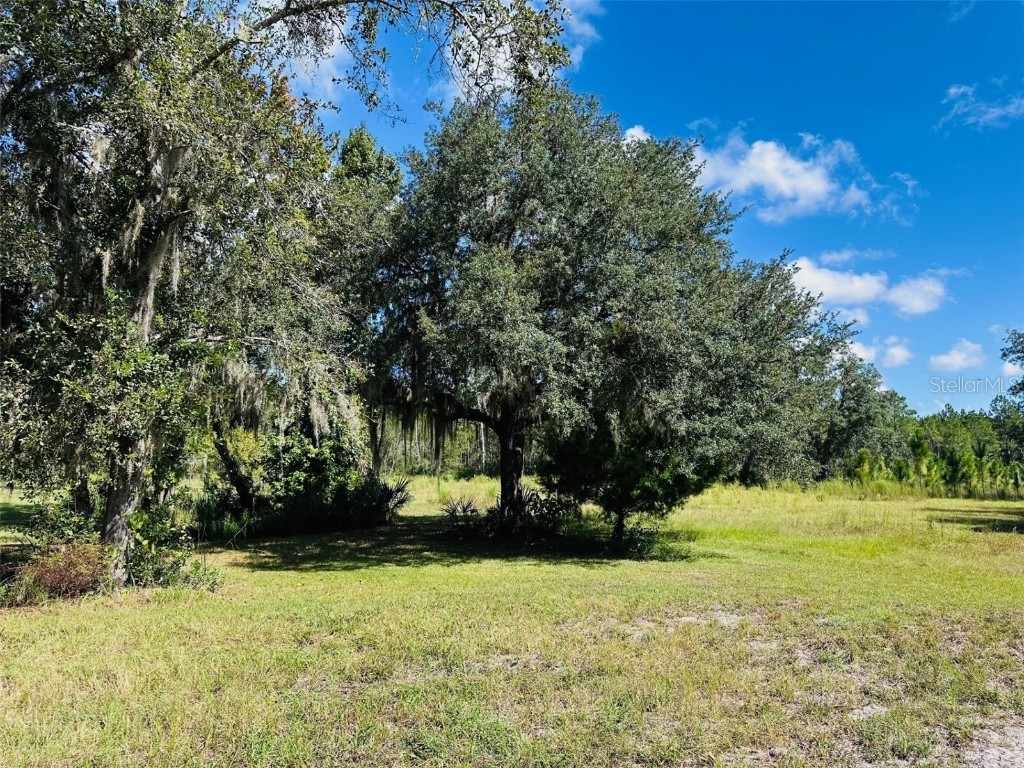 5271 NW County Road 347 Chiefland FL 32626 GC534699 image32