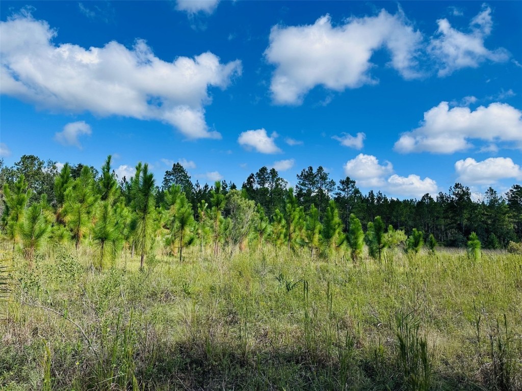 5271 NW County Road 347 Chiefland FL 32626 GC534699 image33