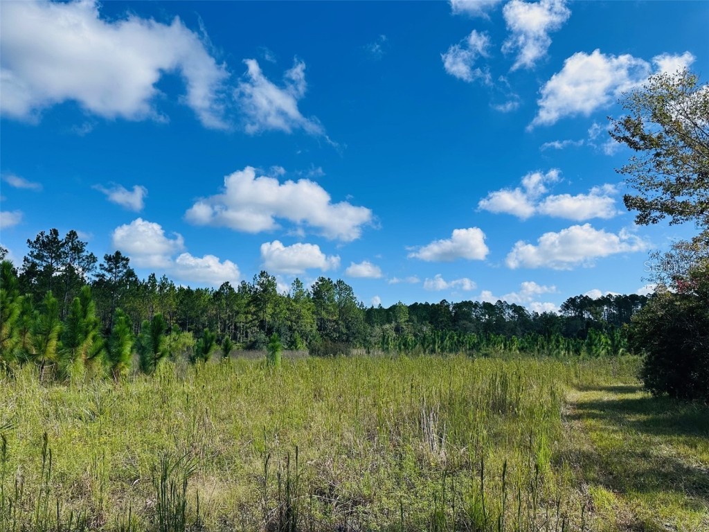 5271 NW County Road 347 Chiefland FL 32626 GC534699 image34