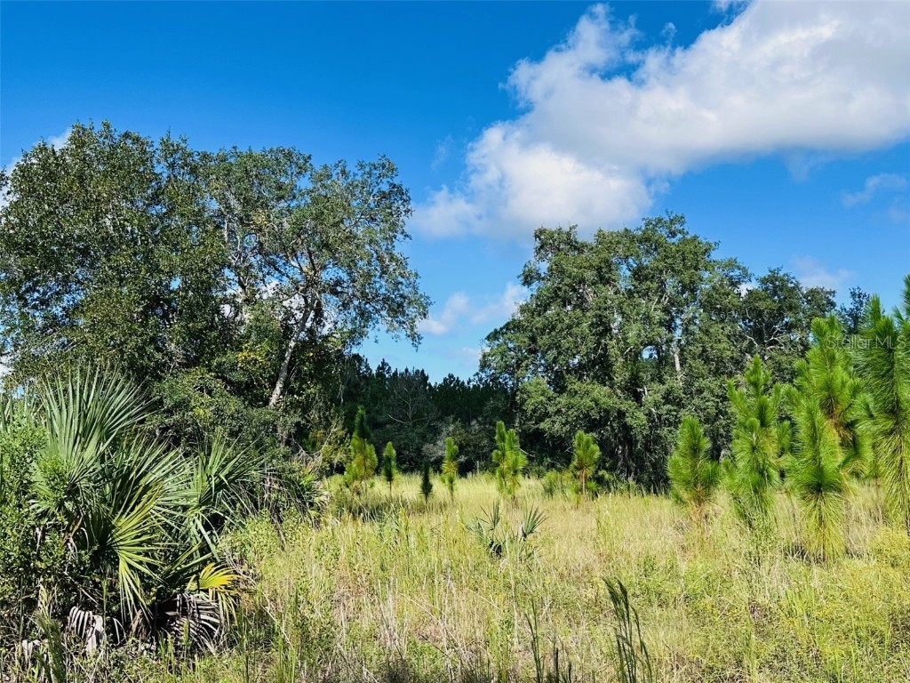 5271 NW County Road 347 Chiefland FL 32626 GC534699 image36