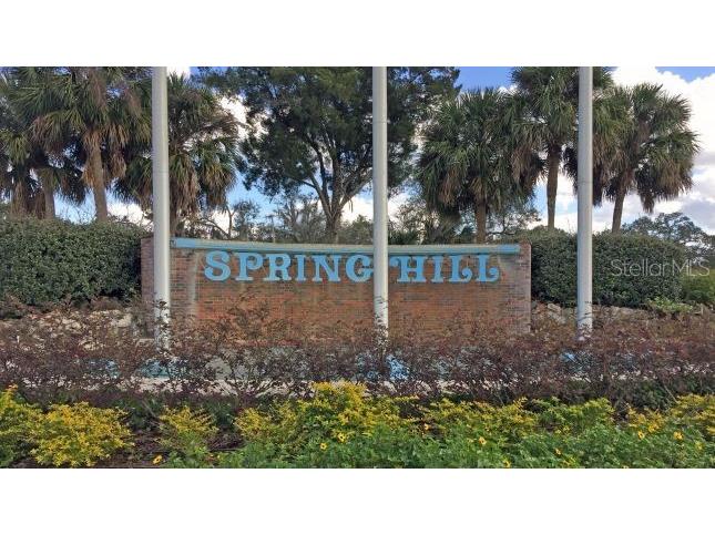 5272 Colchester Avenue Spring Hill FL 34608 OM716593 image3