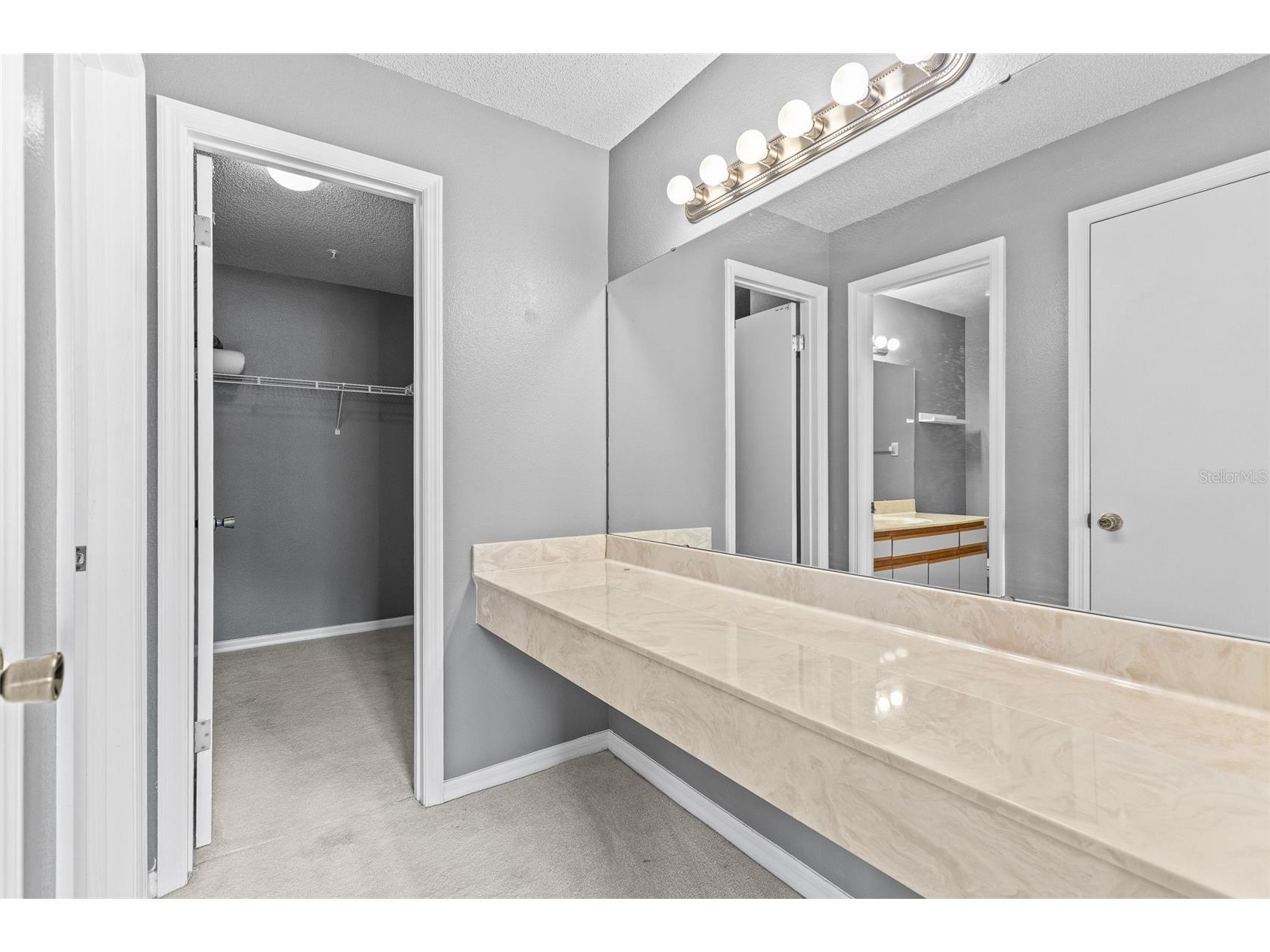 5273 Tunbridge Wells Lane #1601 Orlando FL 32812 O6372219 image18