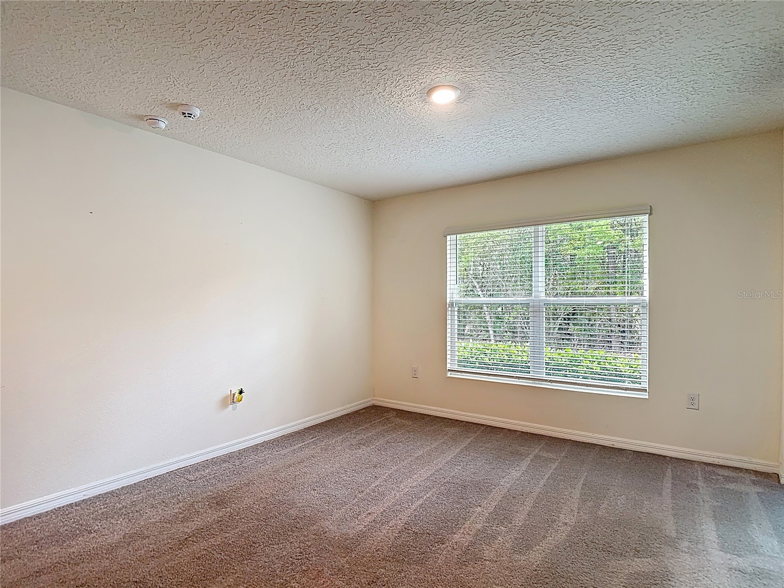 5274 Diantha Way Brooksville FL 34604 TB8488383 image21