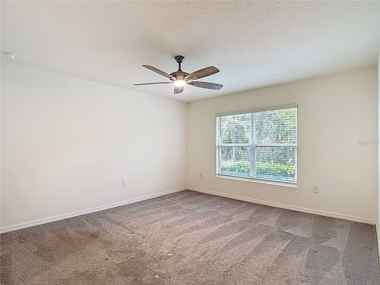 5274 Diantha Way Brooksville FL 34604 TB8488383 image25