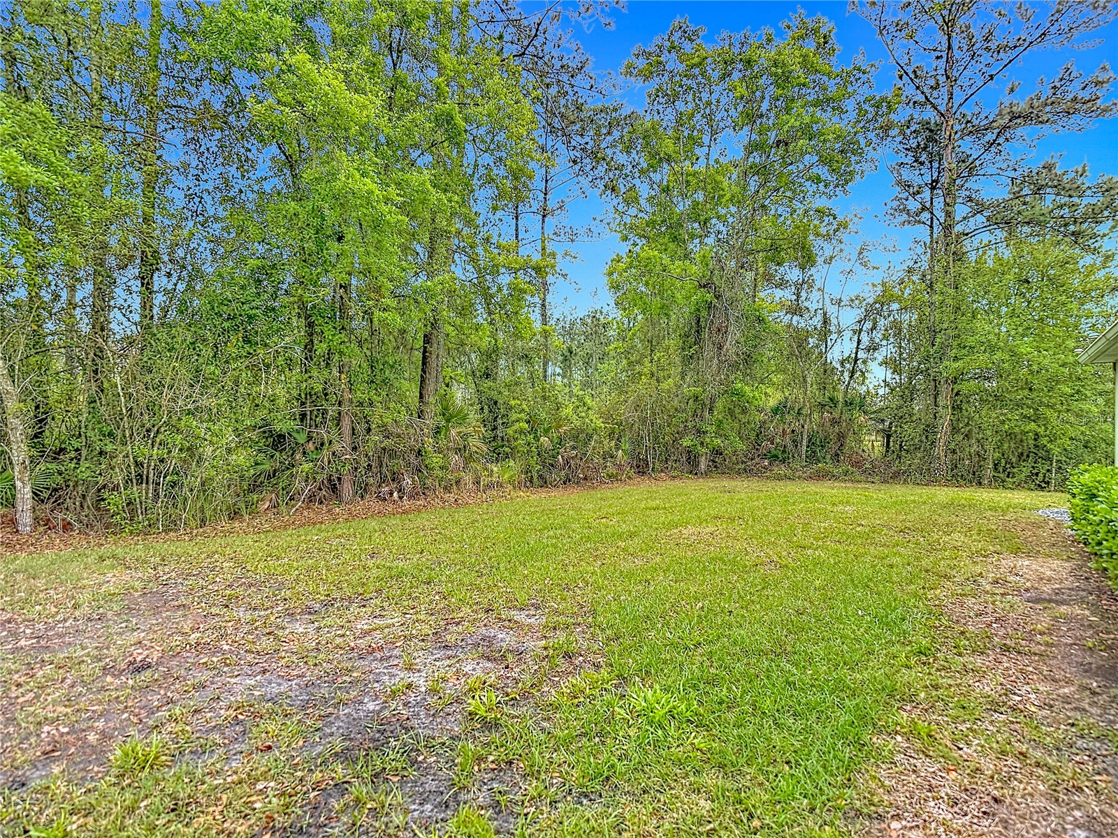 5274 Diantha Way Brooksville FL 34604 TB8488383 image46