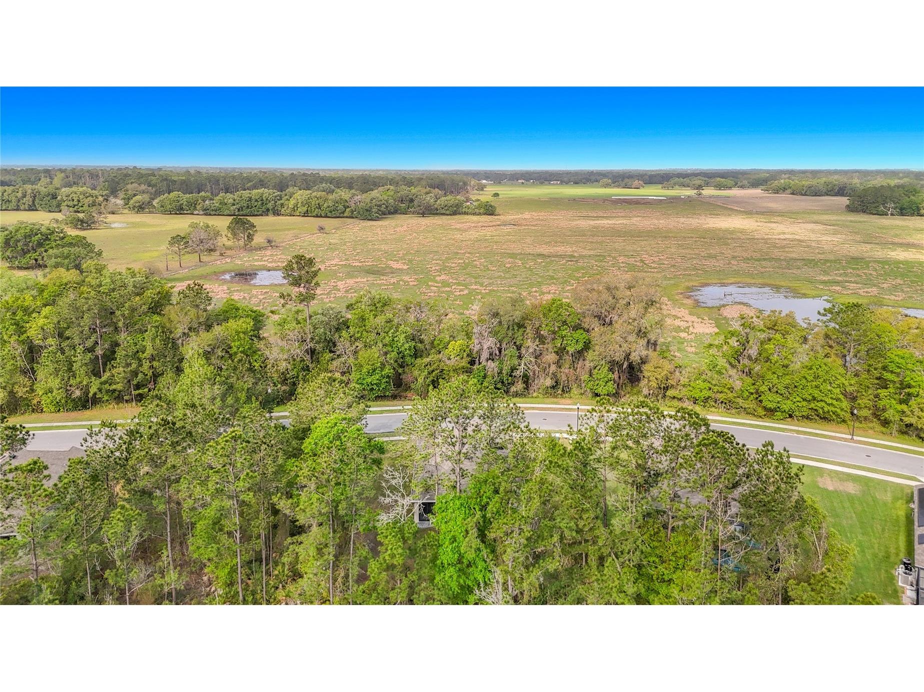 5274 Diantha Way Brooksville FL 34604 TB8488383 image56