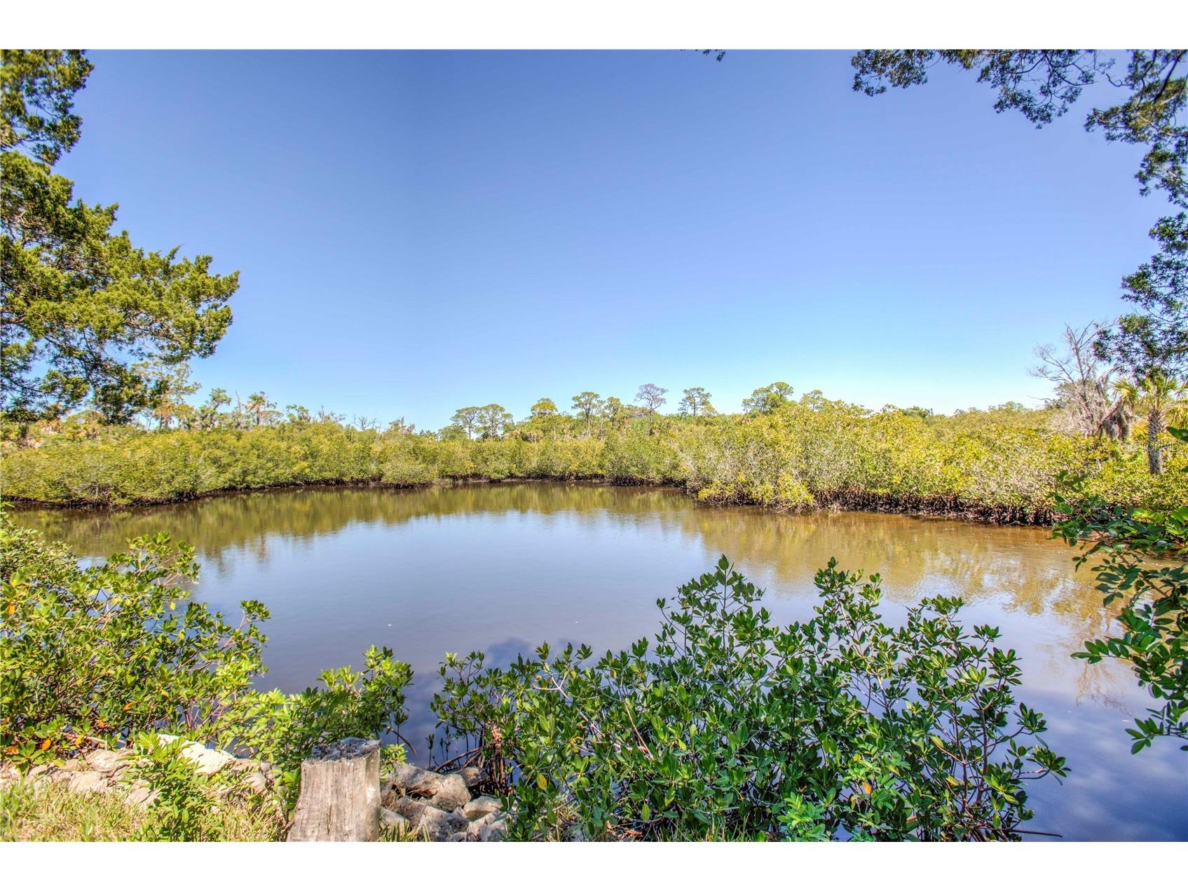 5274 Miller Bayou Drive Port Richey FL 34668 W7883290 image2