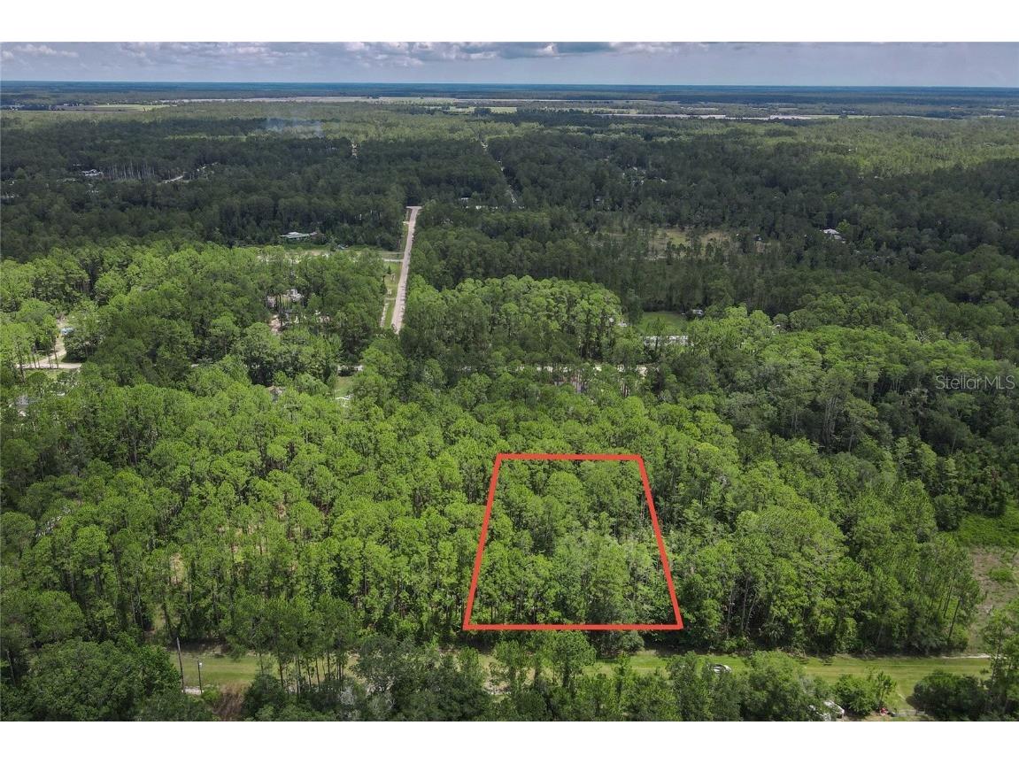 5274 Olive Avenue Bunnell FL 32110 FC310854 image1