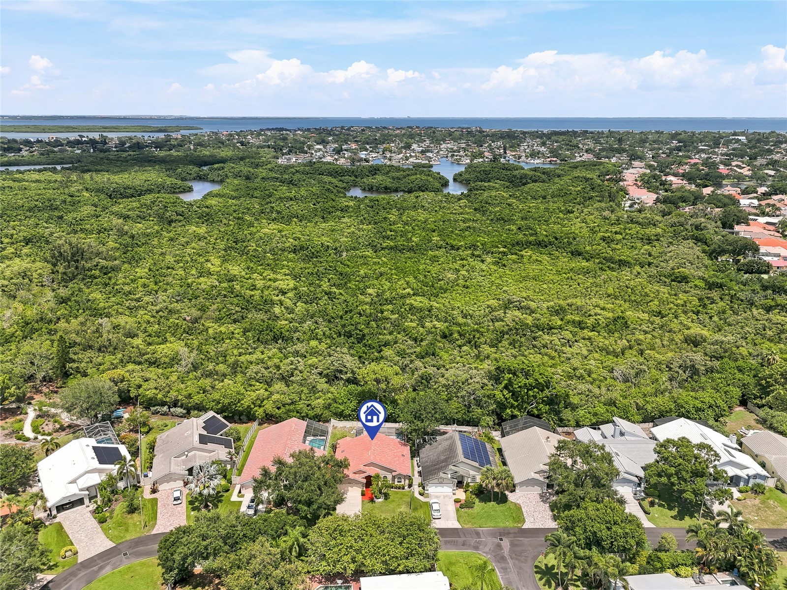 5274 White Sand Circle NE Saint Petersburg FL 33703 TB8523116 image11