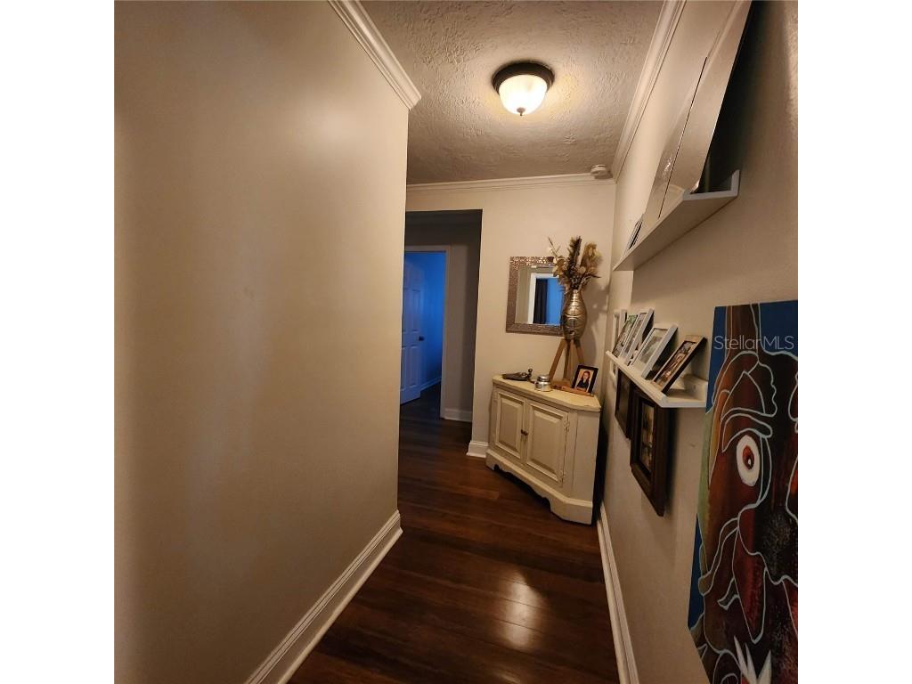 5275 Green Pond Road Polk City FL 33868 L4958207 image26