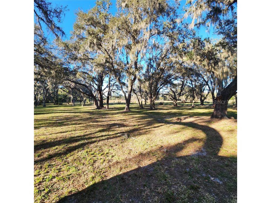 5275 Green Pond Road Polk City FL 33868 L4958207 image43