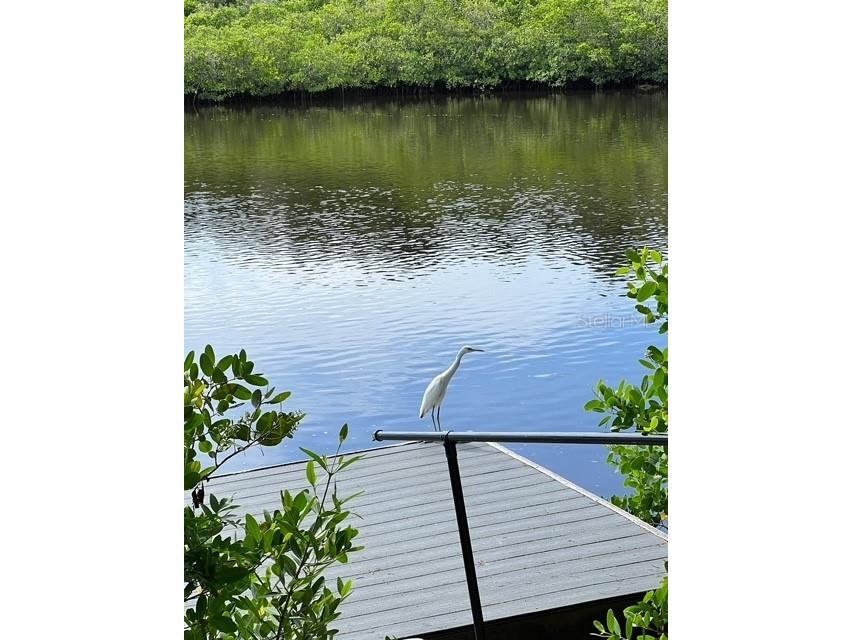 5275 Miller Bayou Drive Port Richey FL 34668 O6290249 image1