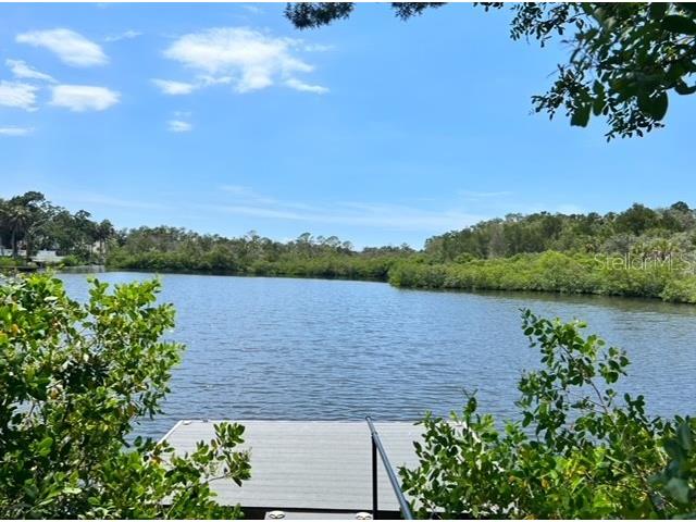 5275 Miller Bayou Drive Port Richey FL 34668 O6290249 image24