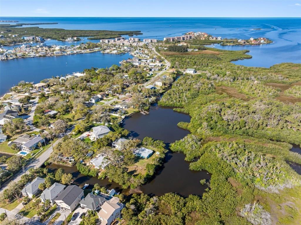 5275 Miller Bayou Drive Port Richey FL 34668 O6290249 image28