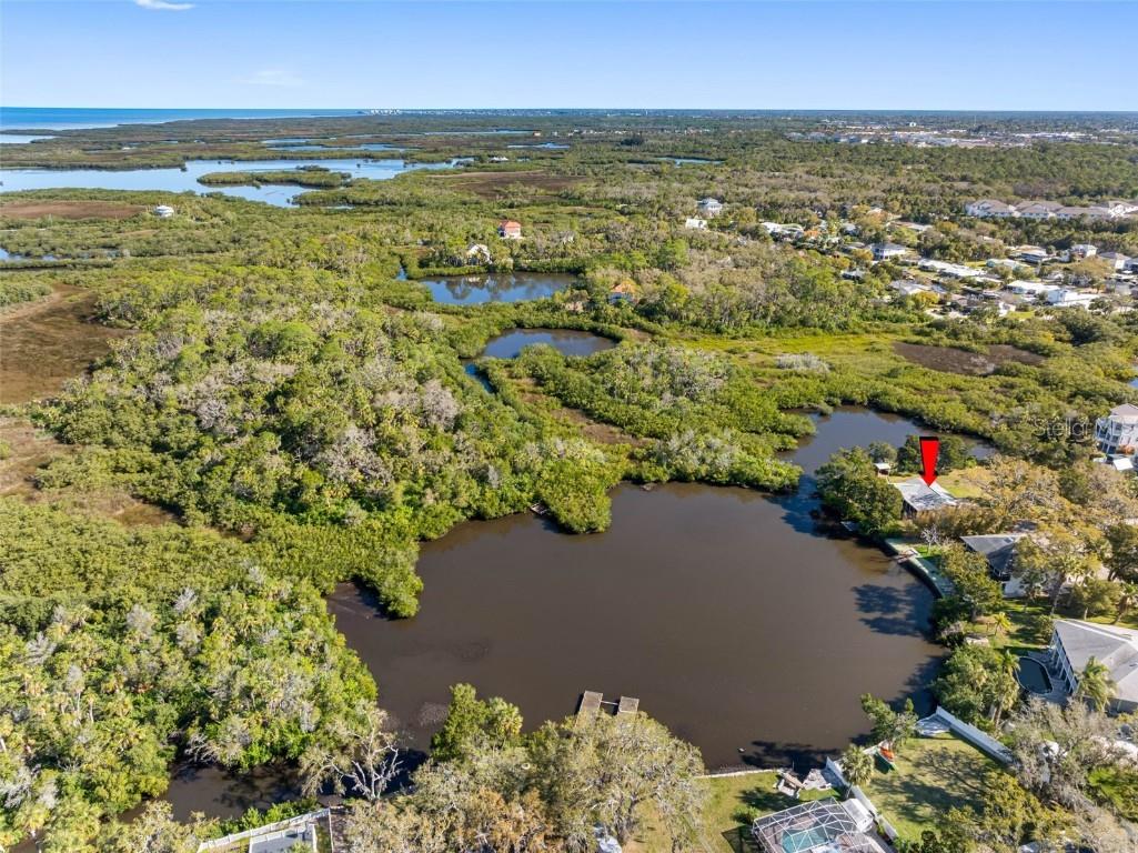 5275 Miller Bayou Drive Port Richey FL 34668 O6290249 image39