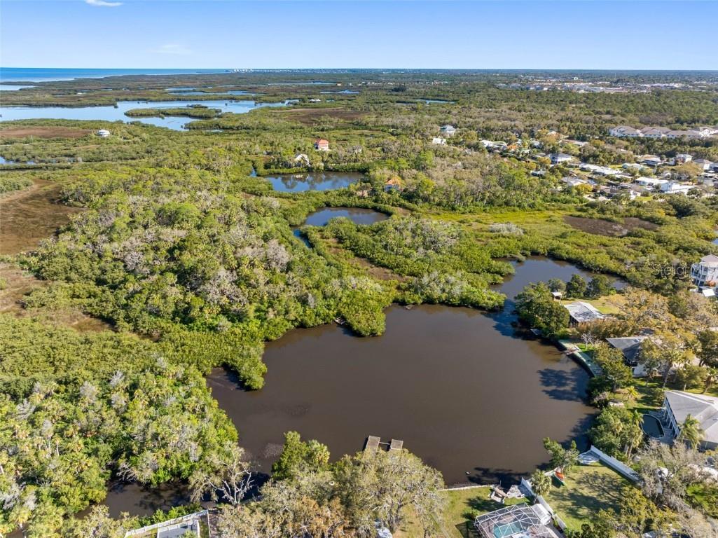 5275 Miller Bayou Drive Port Richey FL 34668 O6290249 image40