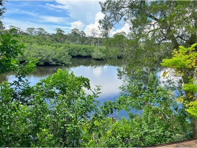 5275 Miller Bayou Drive Port Richey FL 34668 O6290249 image65