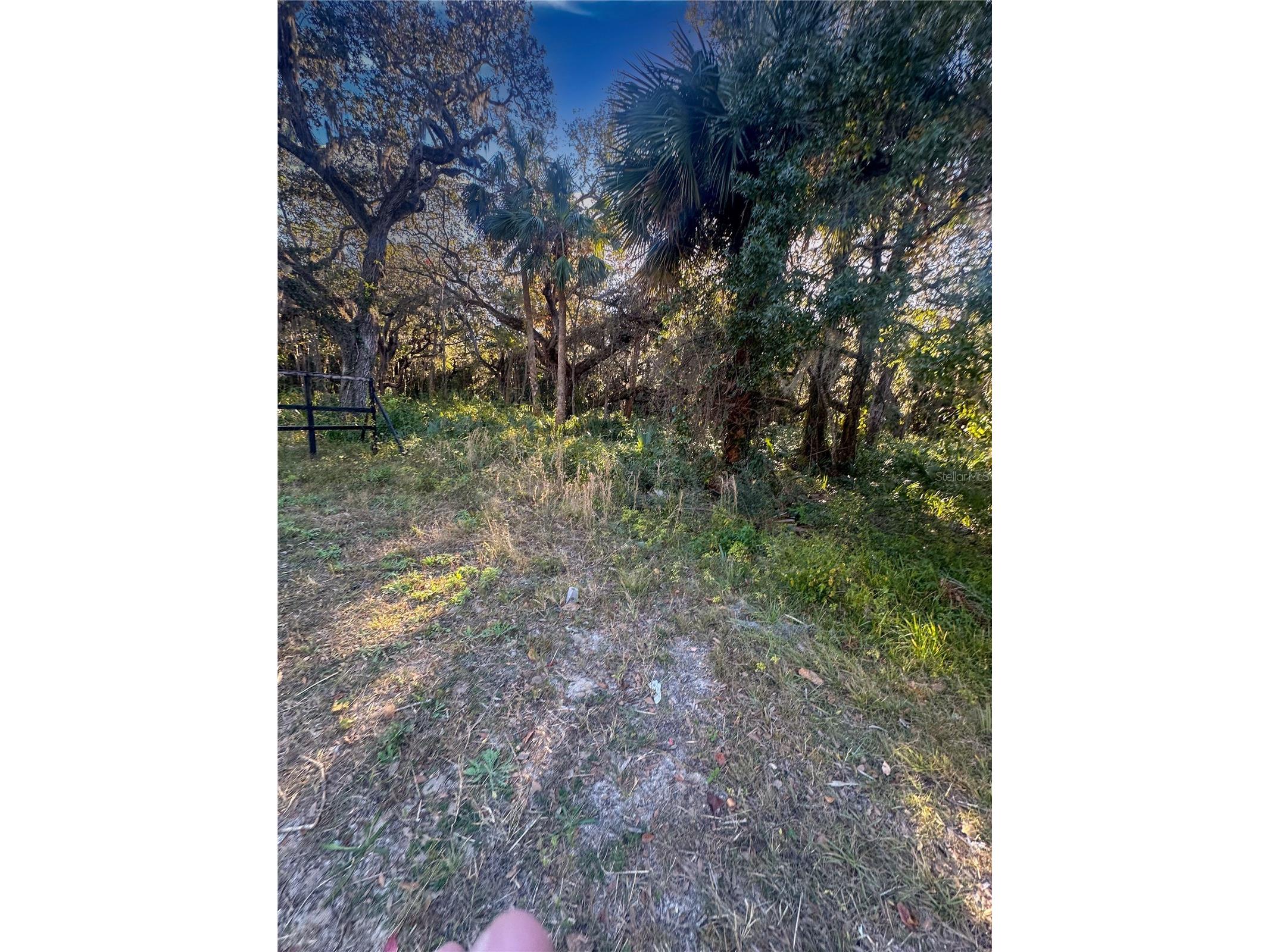 5276 & 5288 N Ocean Shore Boulevard Palm Coast FL 32137 FC317232 image4