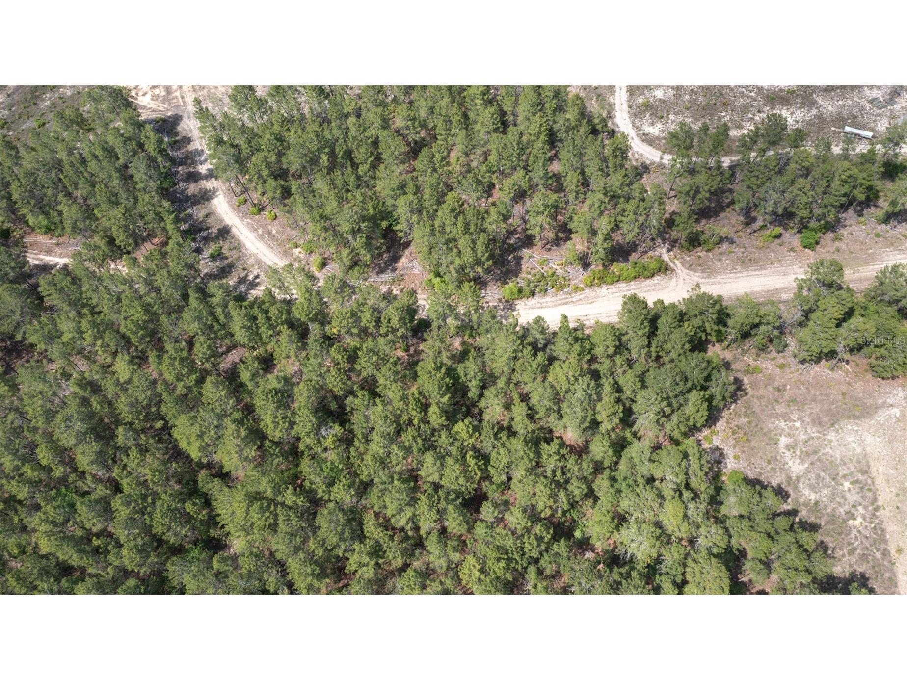 5276 Organic Road Melrose FL 32666 GC541042 image10