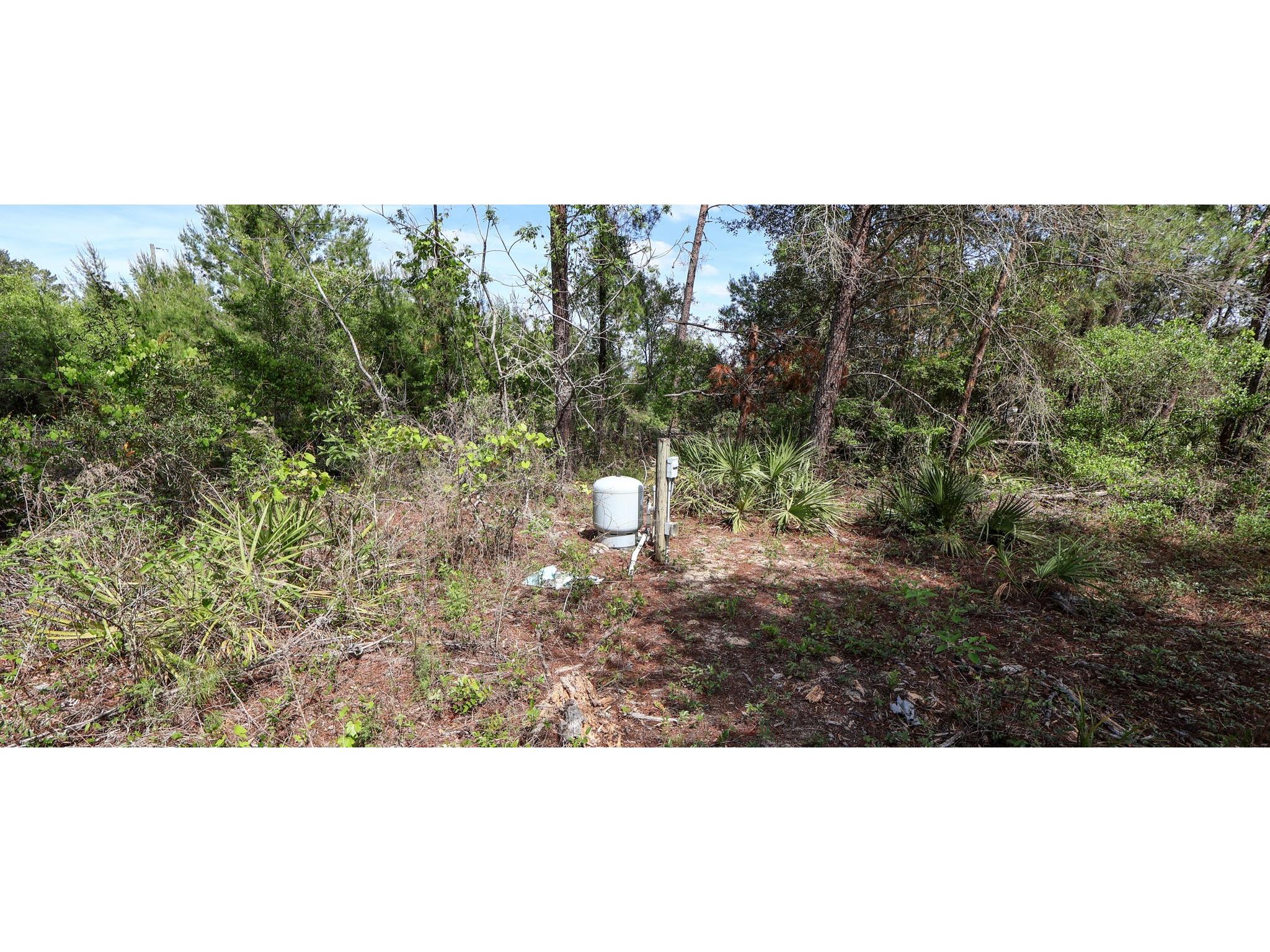 5276 Organic Road Melrose FL 32666 GC541042 image11