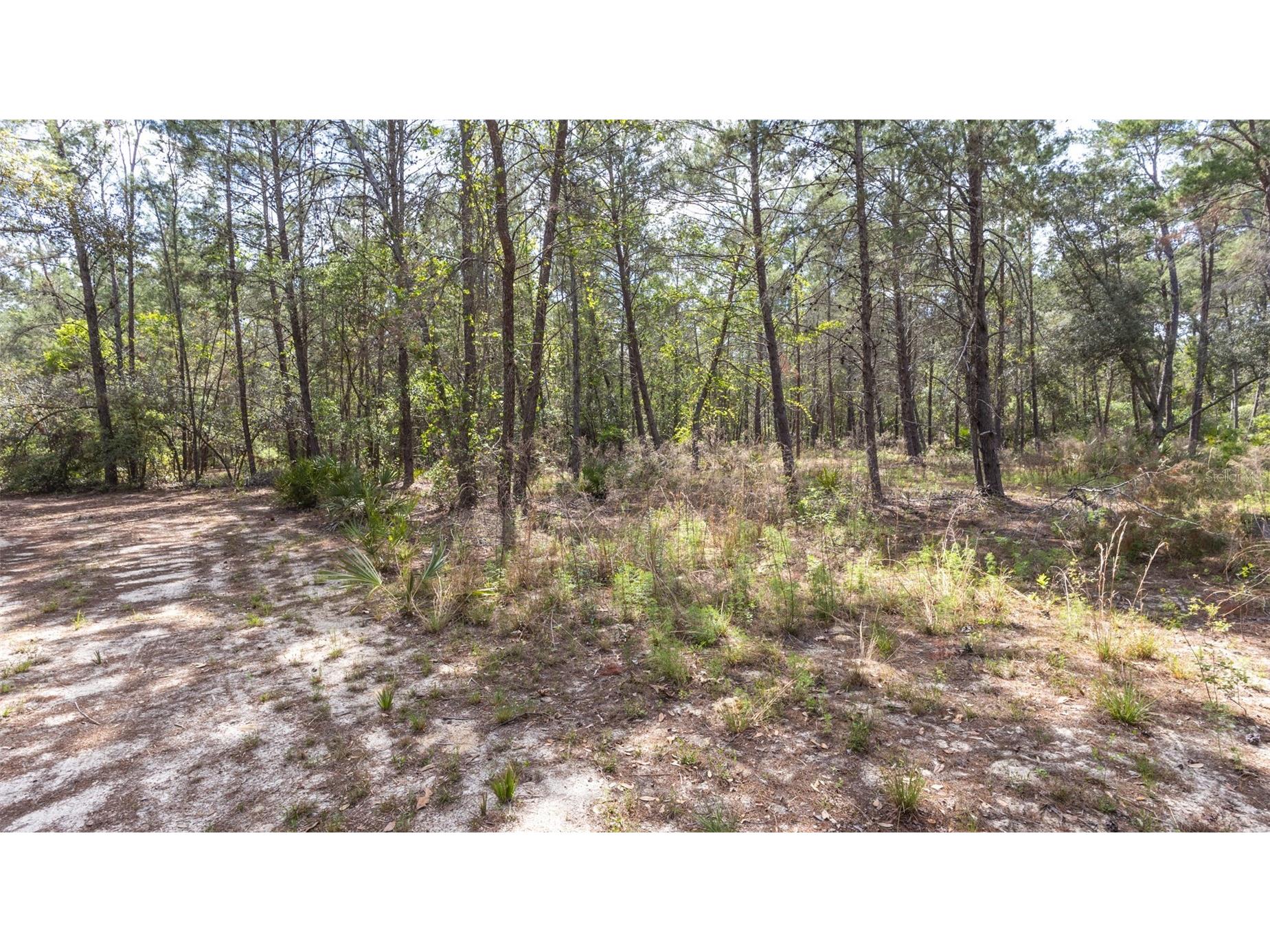 5276 Organic Road Melrose FL 32666 GC541042 image17