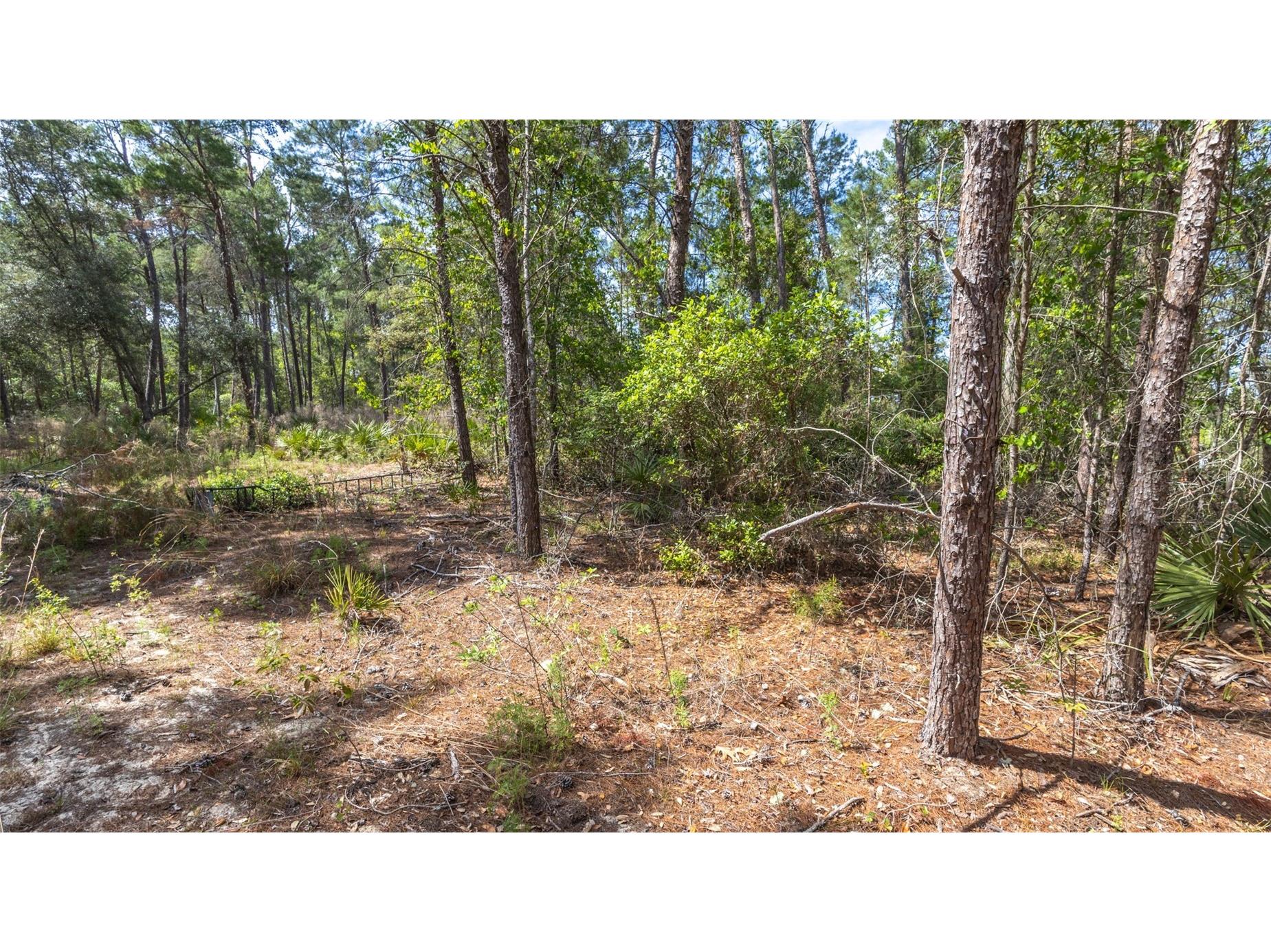 5276 Organic Road Melrose FL 32666 GC541042 image18