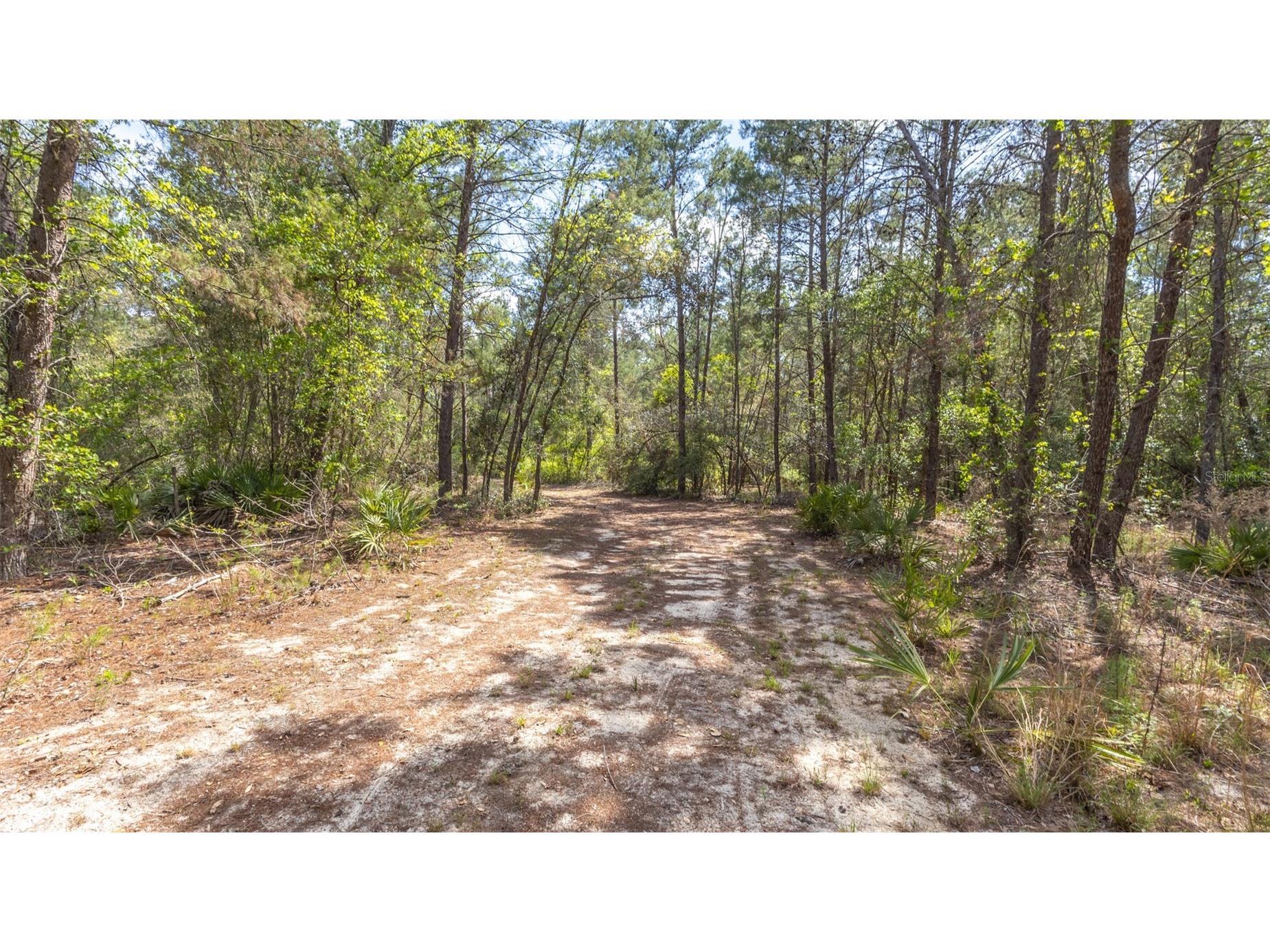 5276 Organic Road Melrose FL 32666 GC541042 image19