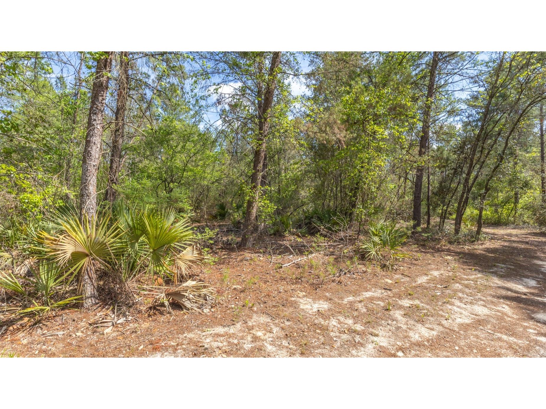 5276 Organic Road Melrose FL 32666 GC541042 image20