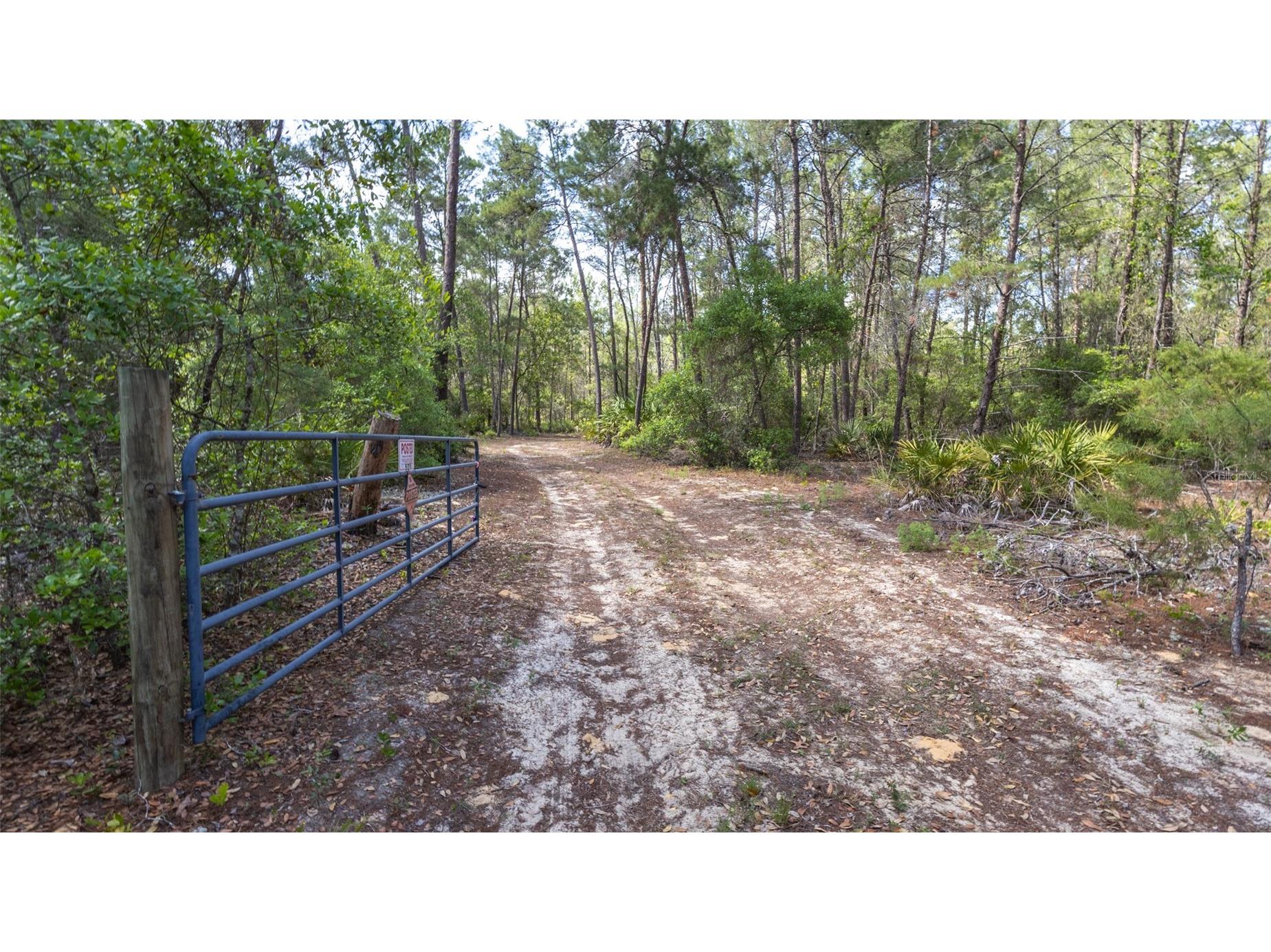 5276 Organic Road Melrose FL 32666 GC541042 image22