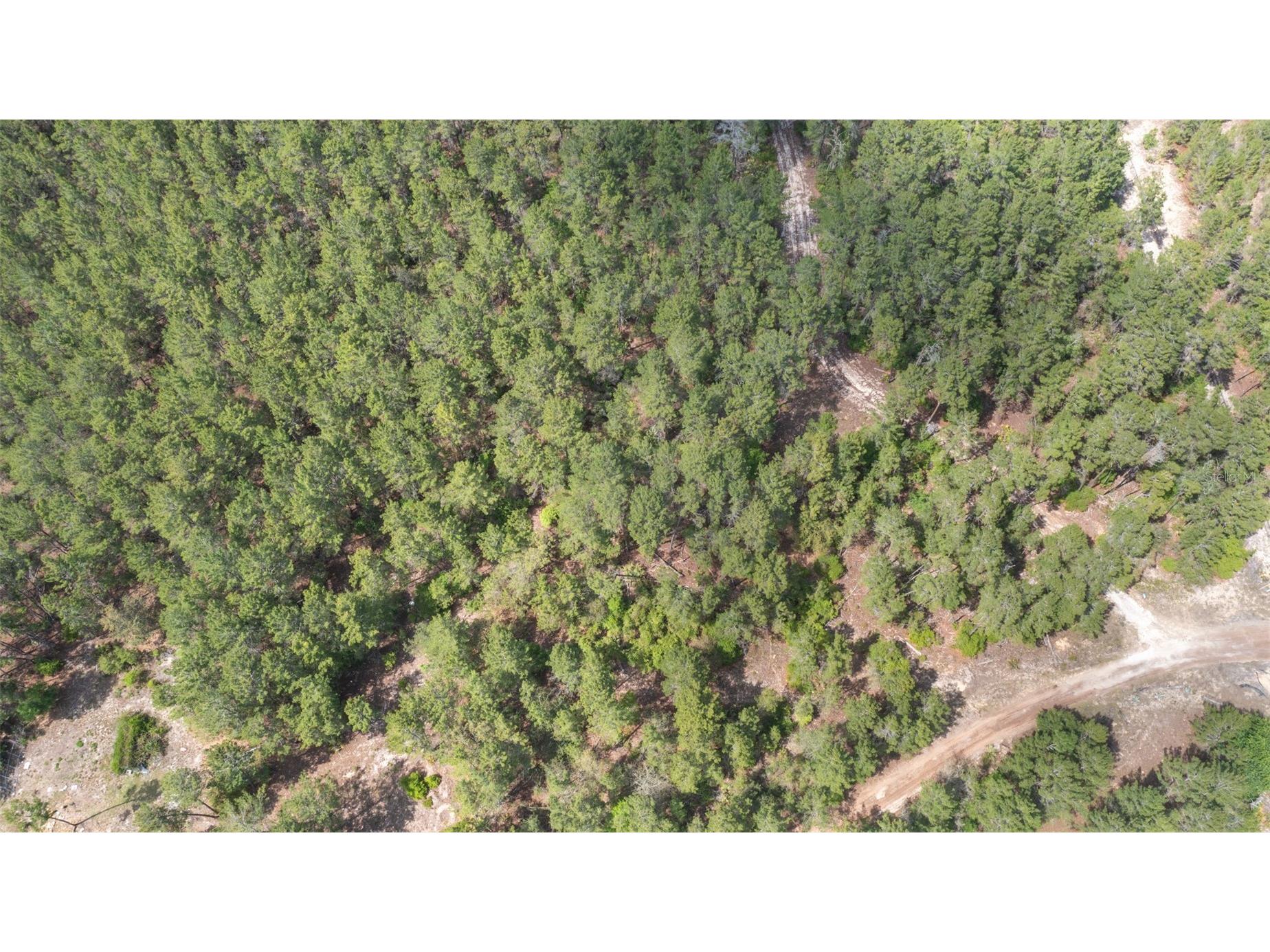 5276 Organic Road Melrose FL 32666 GC541042 image7